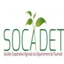 SOCIETE COOPERATIVE SOCADET SCOOP CA