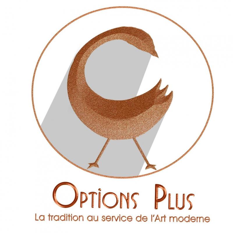 OPTION PLUS